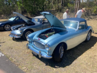 Rick Vincent Austin Healey and Graham Paterson Daimler